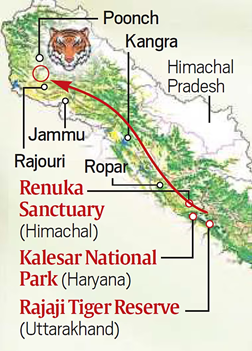 Rajaji Tiger Reserve