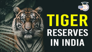 tiger reserves in india (blog)