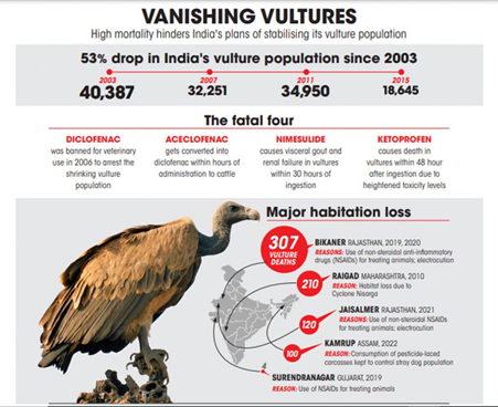 Decline of Vultures