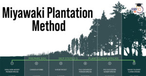 Miyawaki Method of Plantation and its Benefits