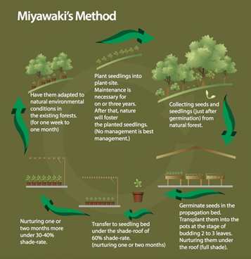 Miyawaki Method1