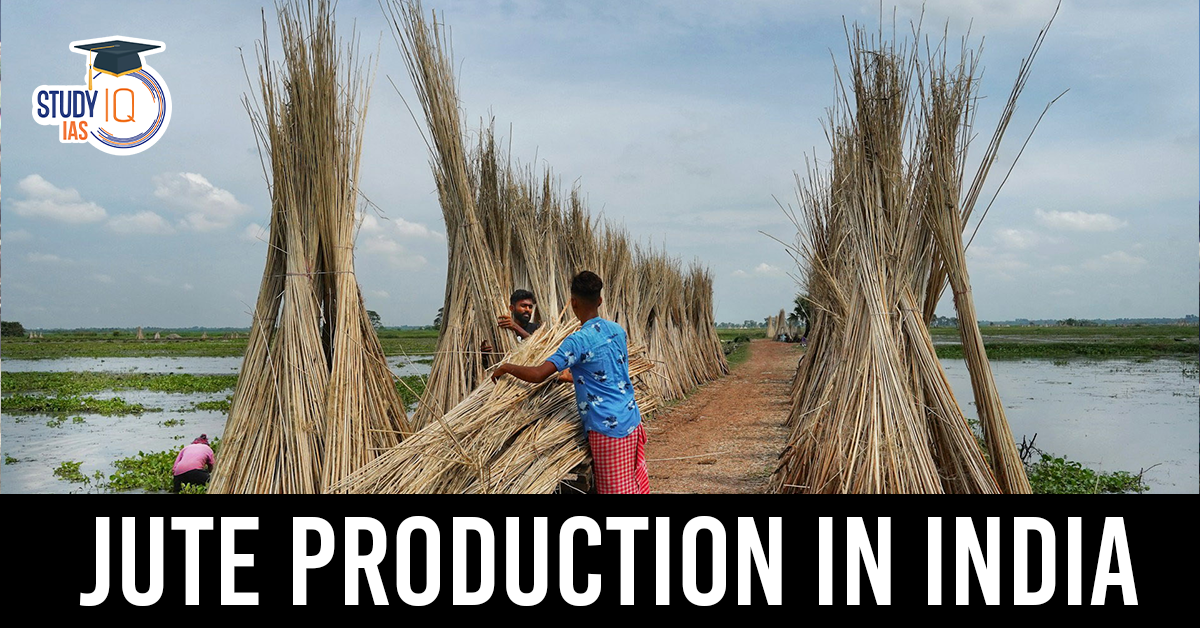 Jute production in India blog