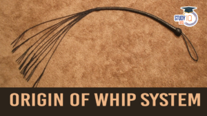 Origin of Whip System (blog)