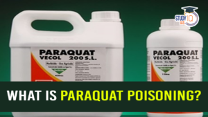 What is Paraquat Poisoning (blog)