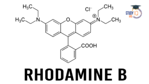 Rhodamine-B, Uses, Regulatory Framework and Health Risks