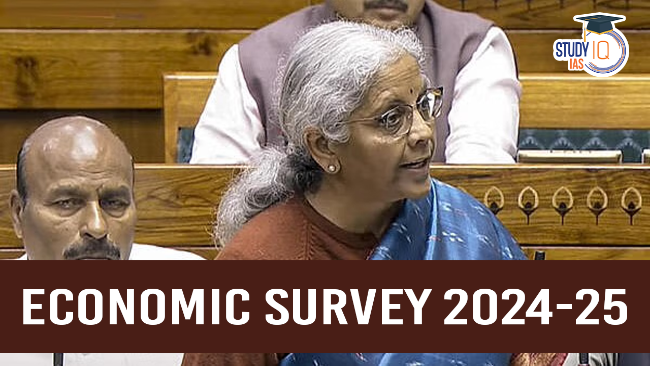 Economic Survey 2024-25 (blog)