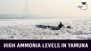 High Ammonia levels in Yamuna (blog)