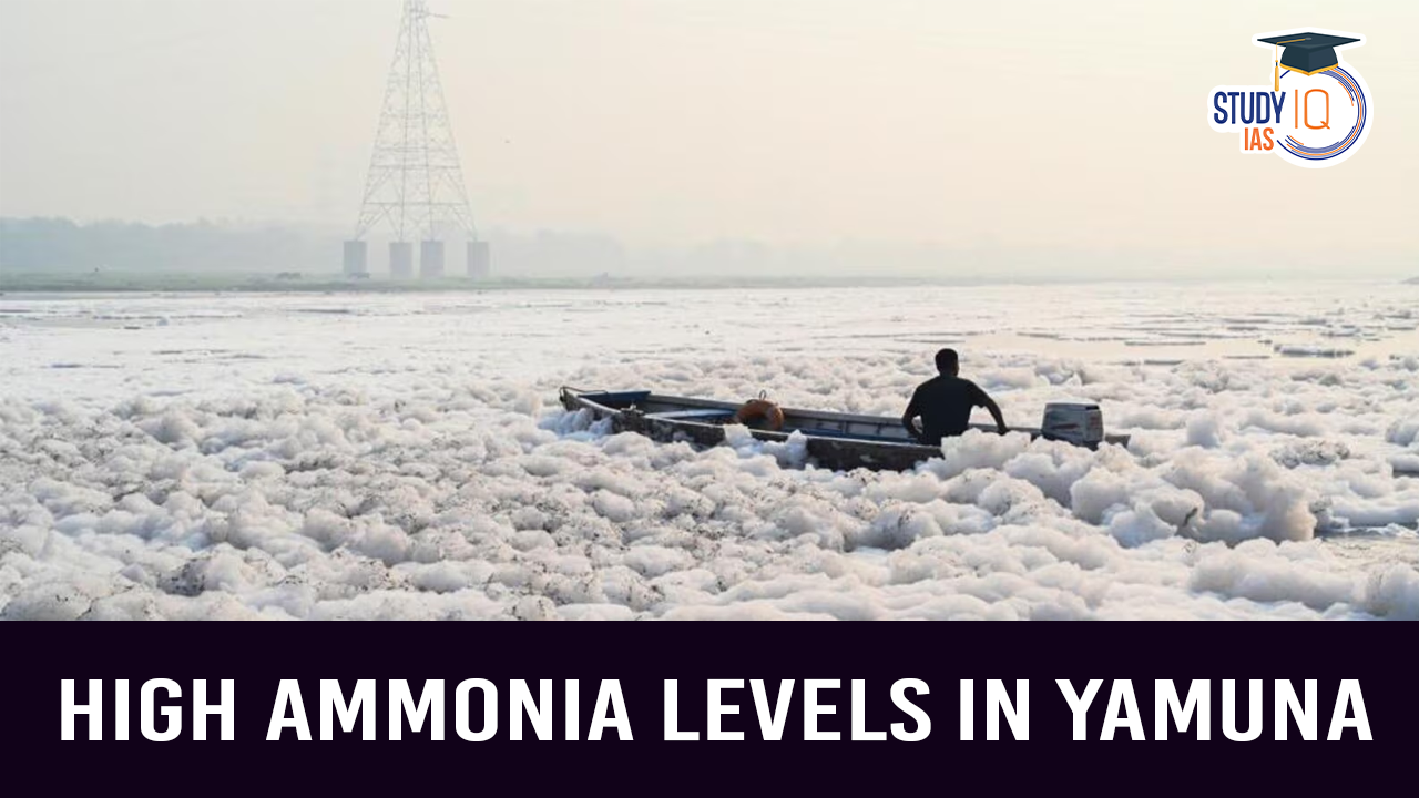 High Ammonia levels in Yamuna (blog)