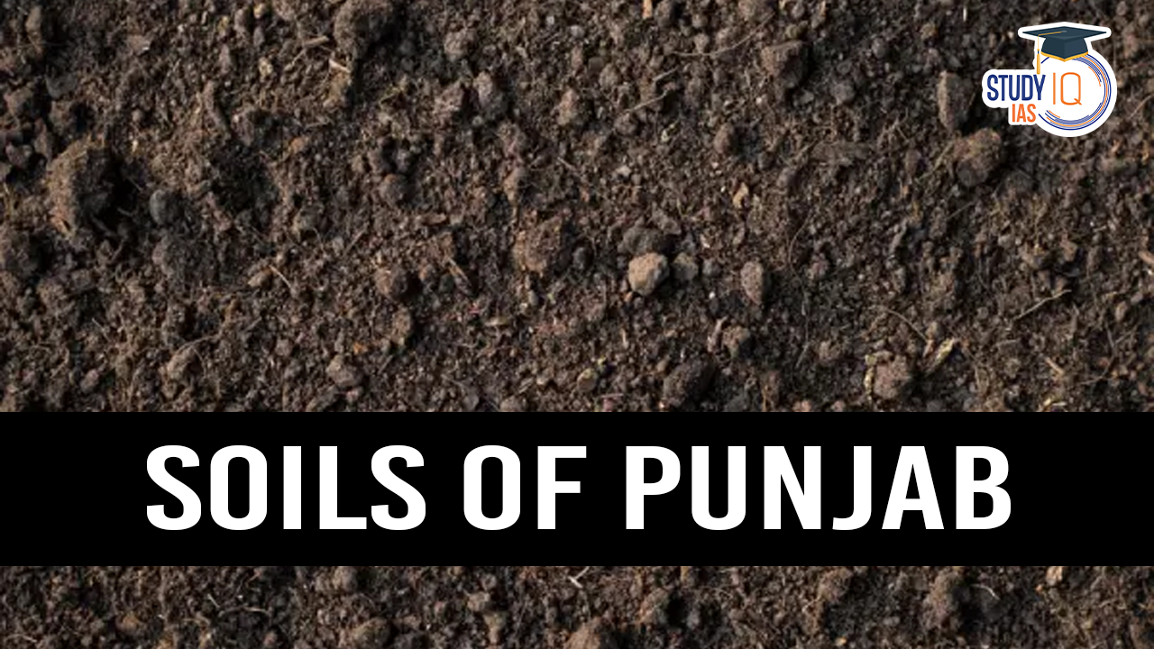 Soils of Punjab