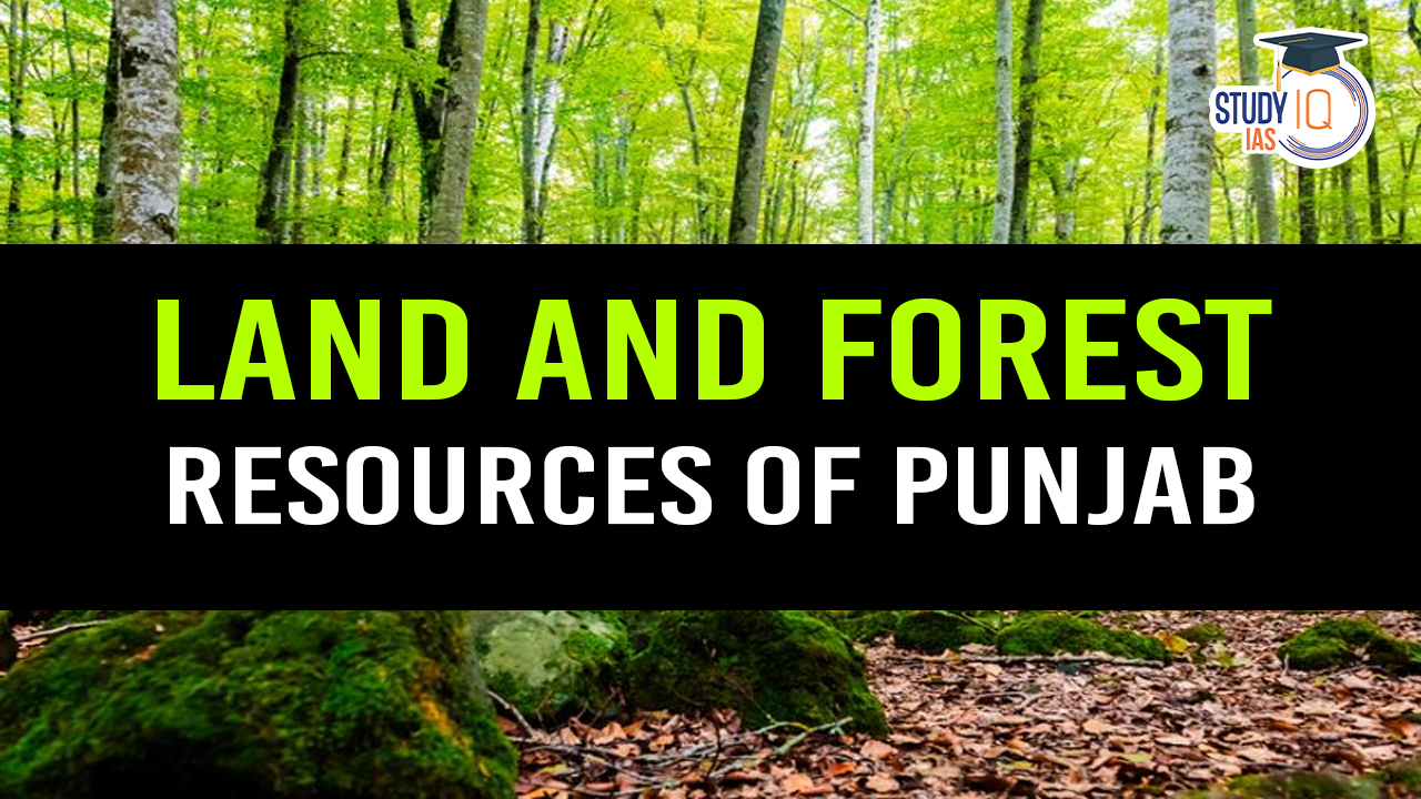 Land and Forest Resources of Punjab (blog)