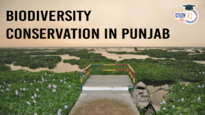 Biodiversity Conservation in Punjab (blog)