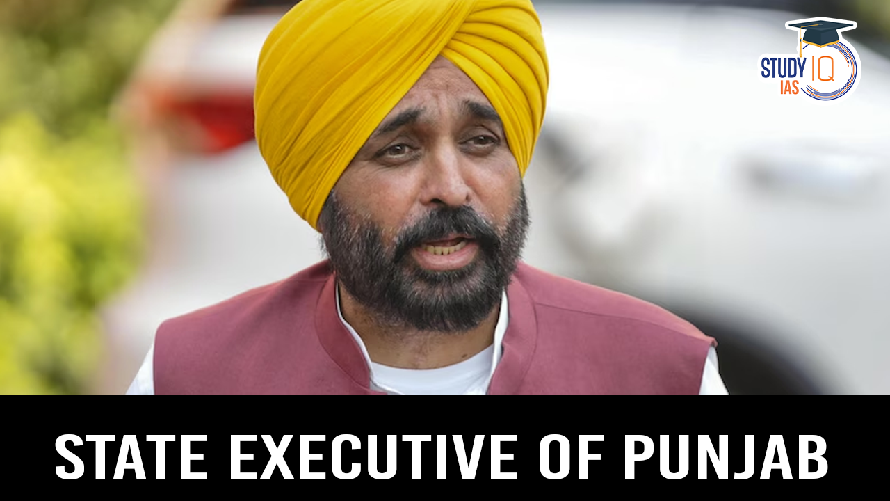 State Executive of Punjab (blog)