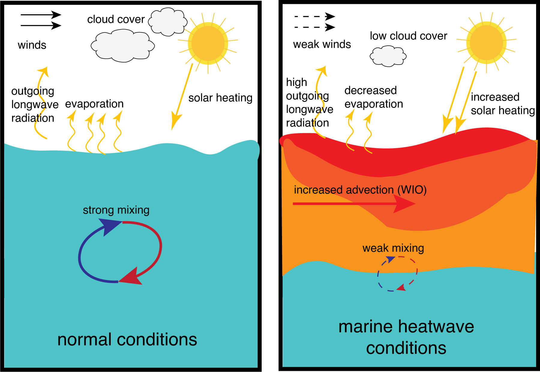 Marine Heatwaves (MHWs)1