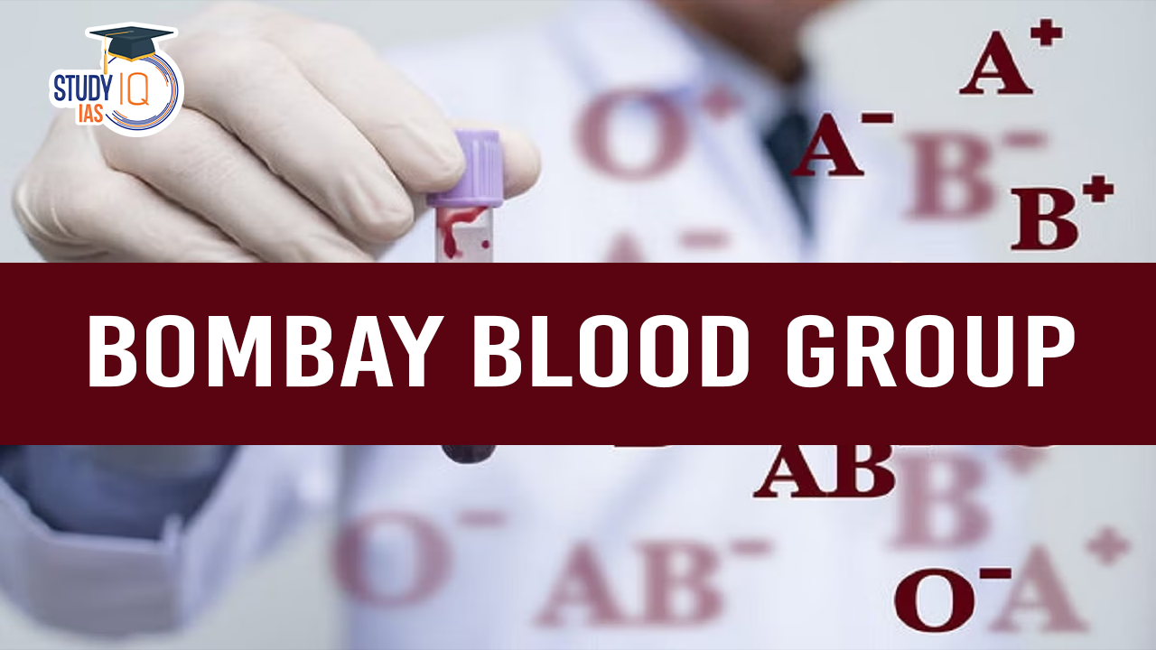 Bombay Blood Group (blog)