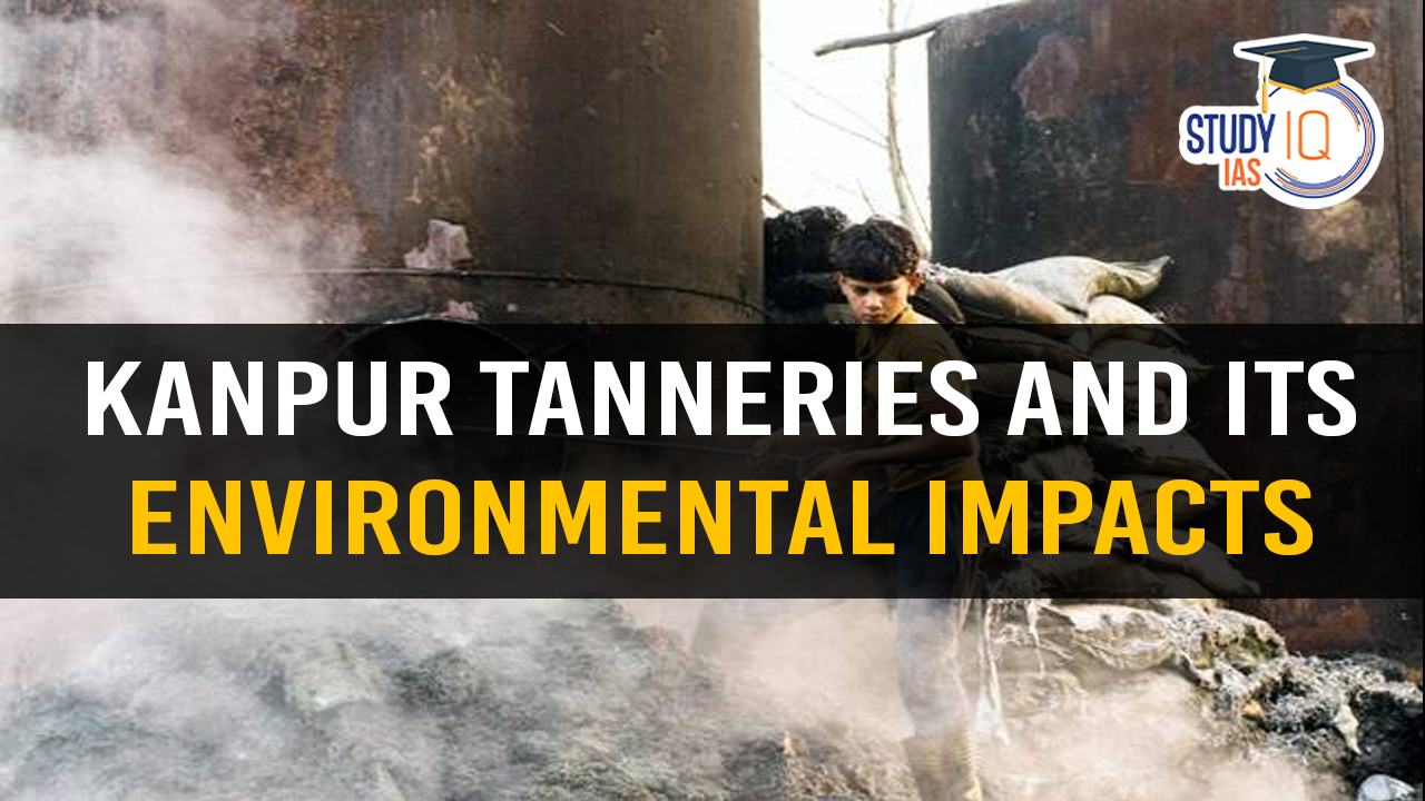 Kanpur Tanneries and its Environmental Impacts (blog)