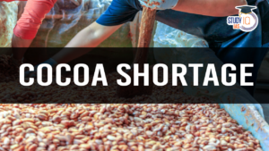 Cocoa Shortage (blog)