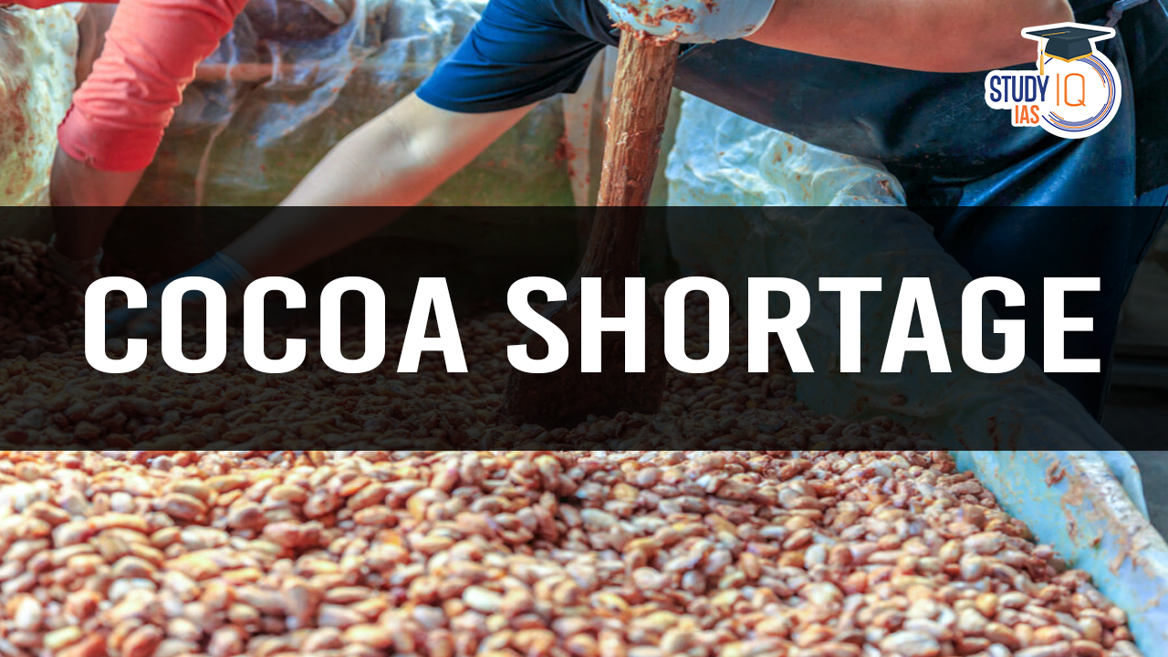 Cocoa Shortage (blog)