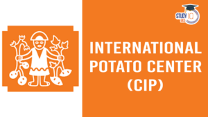 International Potato Center (CIP) (blog)