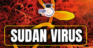 Sudan Virus