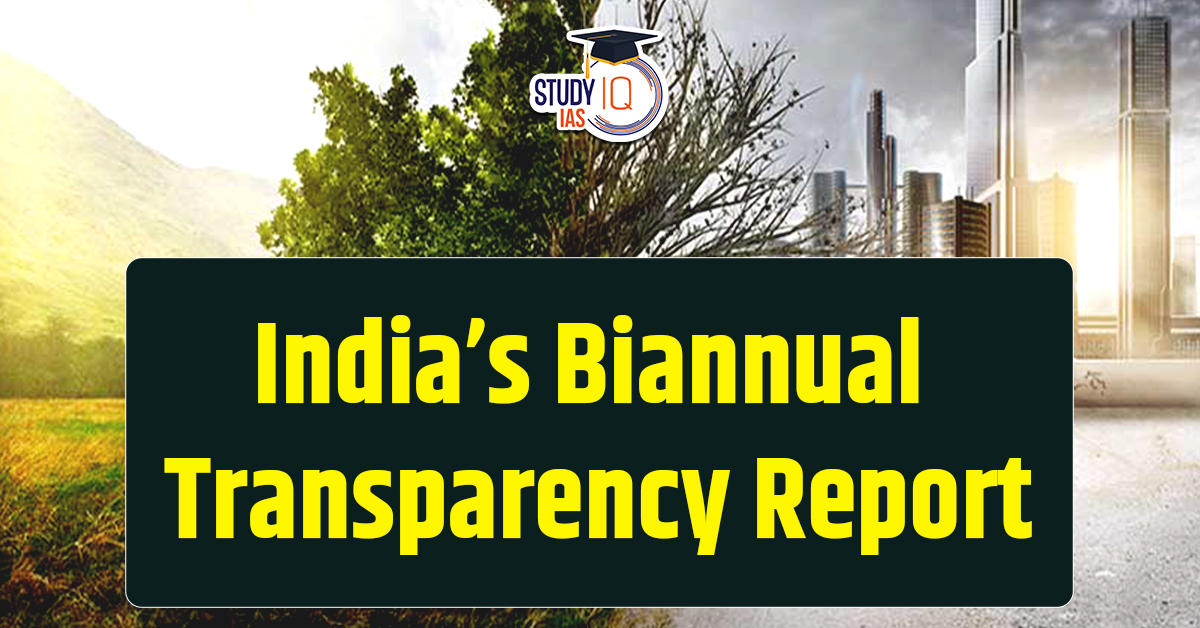 Biannual Transparency Report