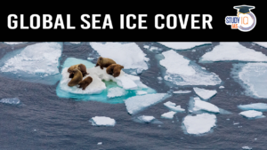 Global Sea Ice Cover (blog)