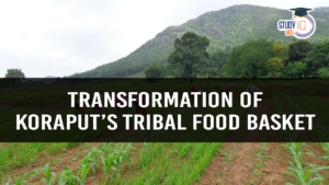 Transformation of Koraput’s Tribal Food Basket