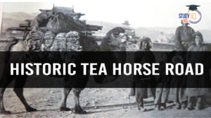 Historic Tea Horse Road (blog)