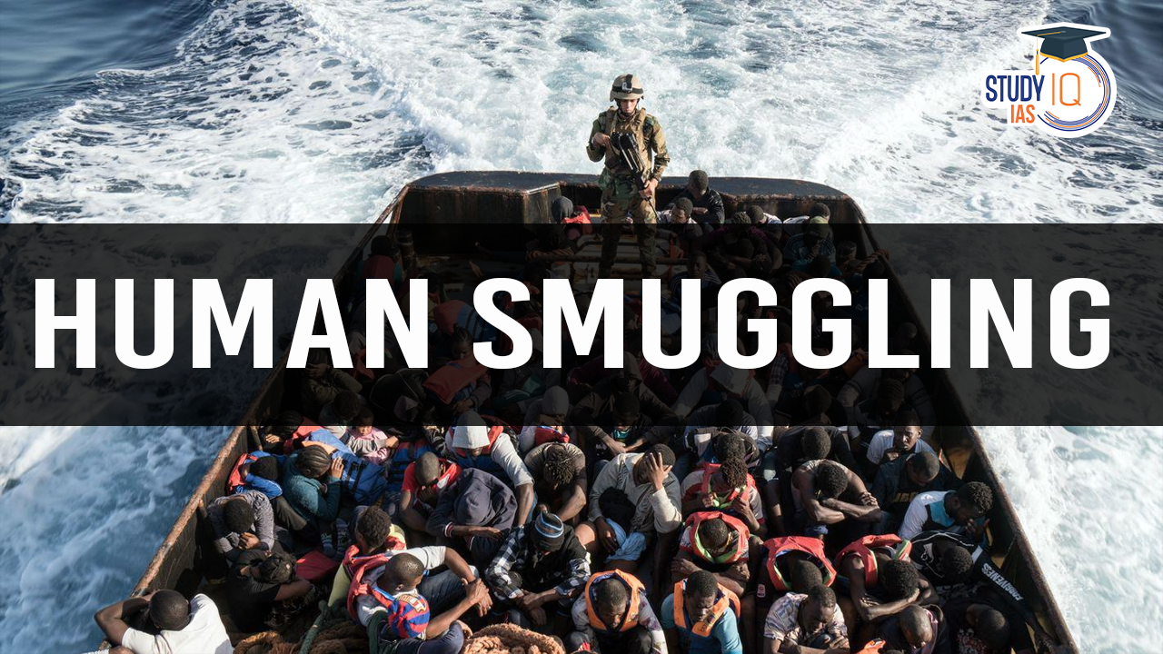 Human Smuggling (blog)