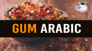 Sudan Conflict Disrupts Global Gum Arabic Supply