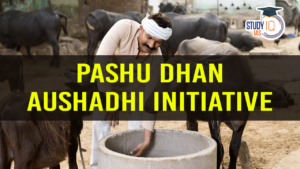 Pashu Dhan Aushadhi Initiative