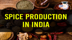 Spice Production in India (blog)