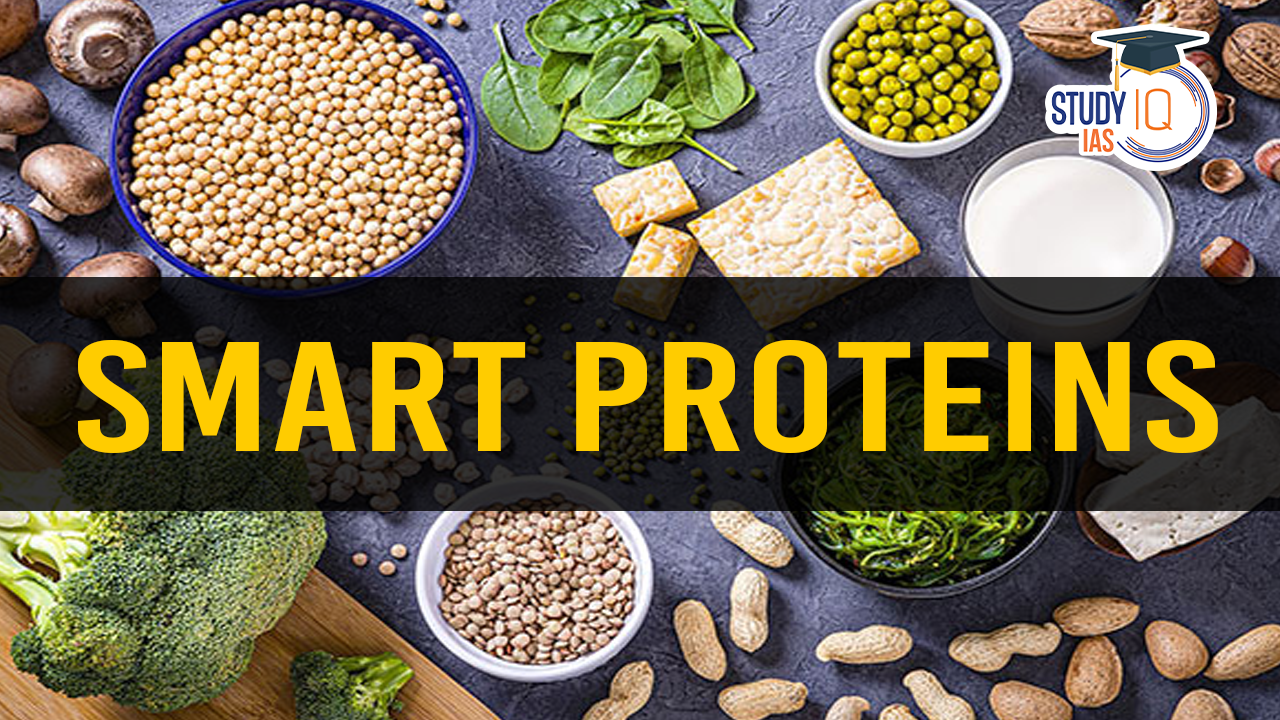 Smart Proteins