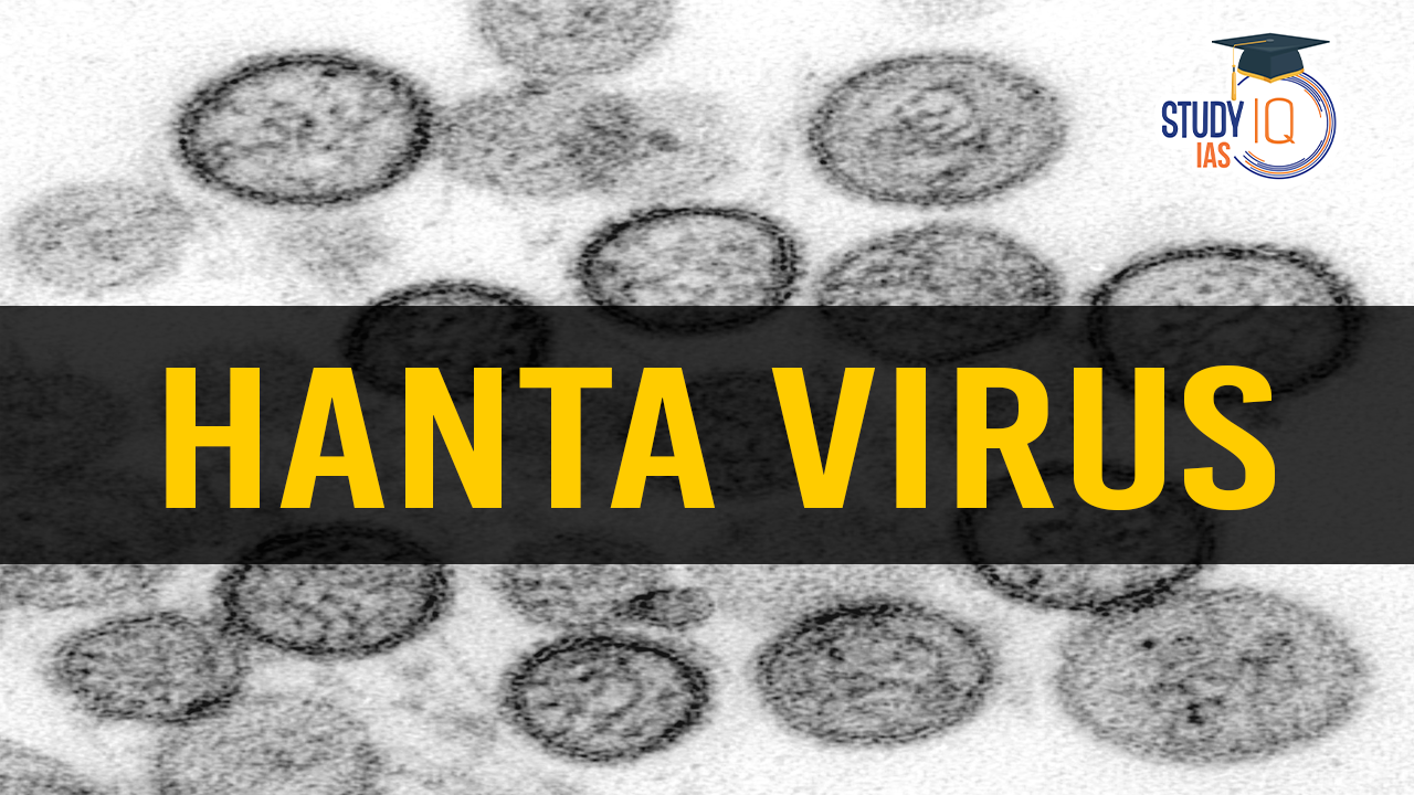 Hantavirus: Causes, Symptoms, Transmission, and Prevention