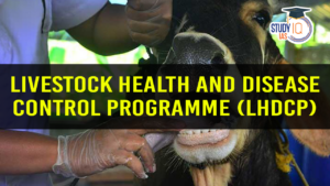 Livestock Health and Disease Control Programme (LHDCP) (blog) (1)