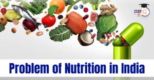 Nutrition in India