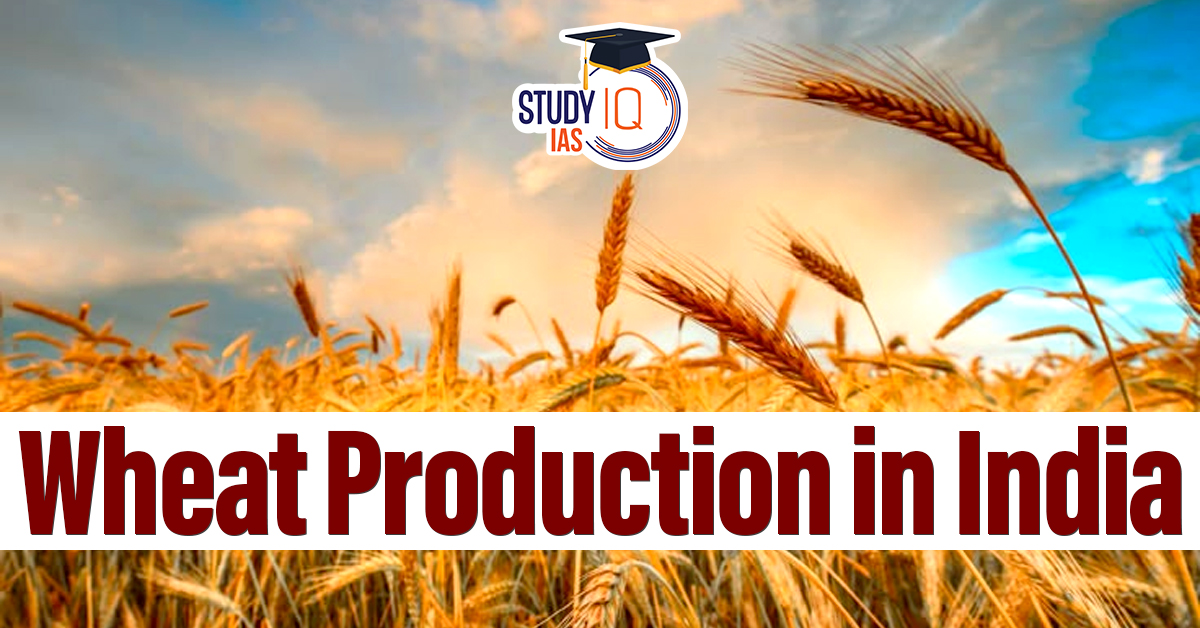 Wheat Production in India