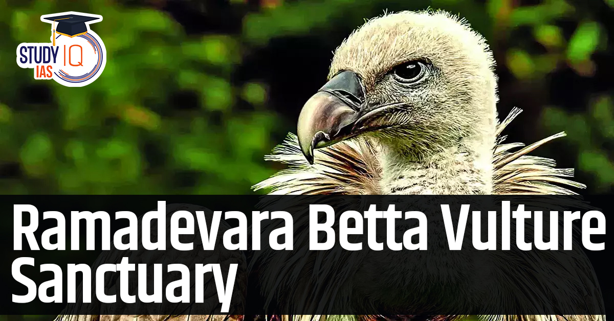 Ramadevara Betta Vulture Sanctuary