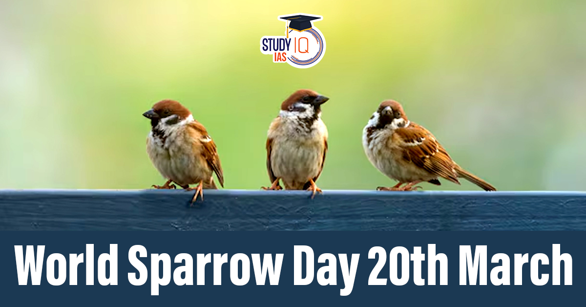 world sparrow day